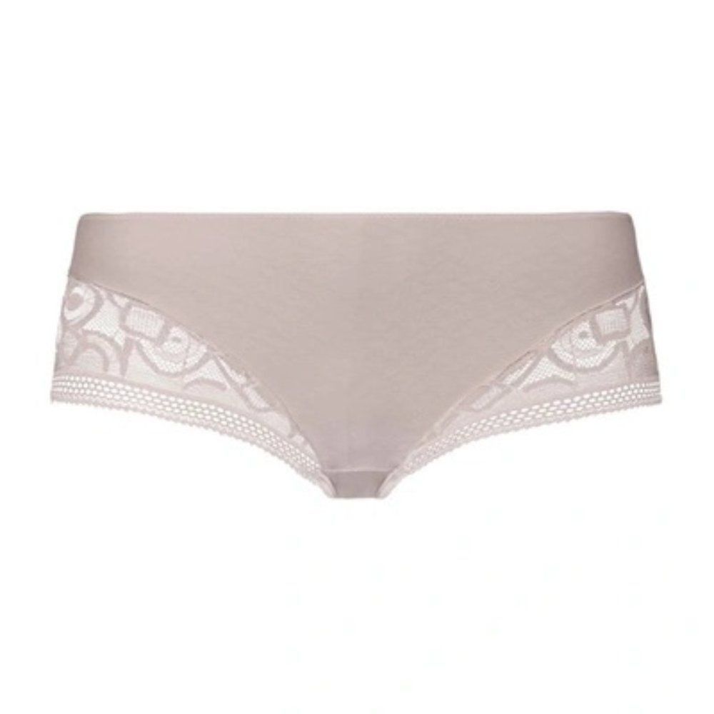 Hanro Alena Stretch-jacquard And Lace Briefs In Castello Large NWT